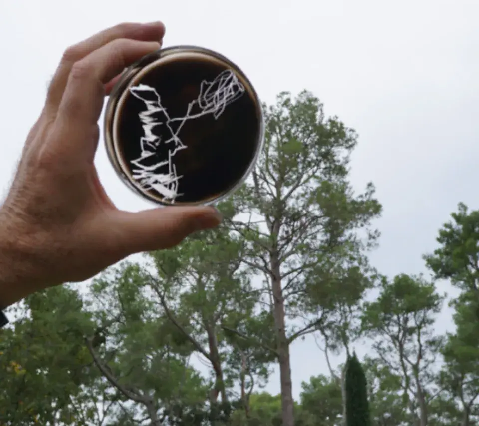 Rencontres avec l'artiste Bernard Moninot à l'école des arts de la sorbonne