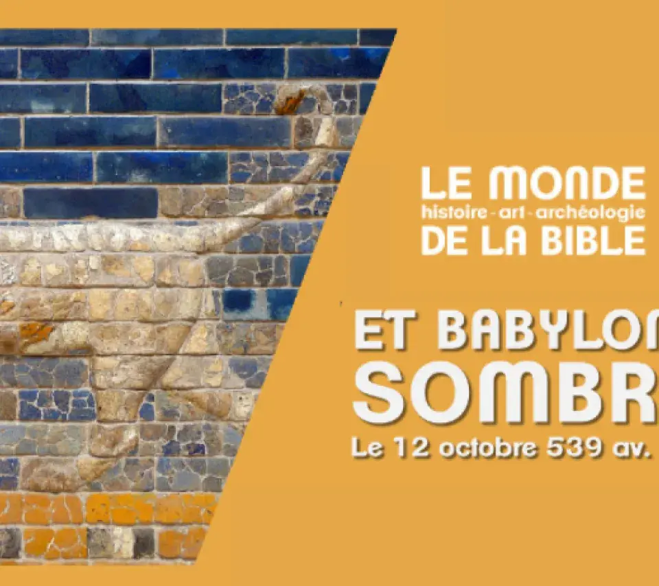 et babylone sombra visioconférence