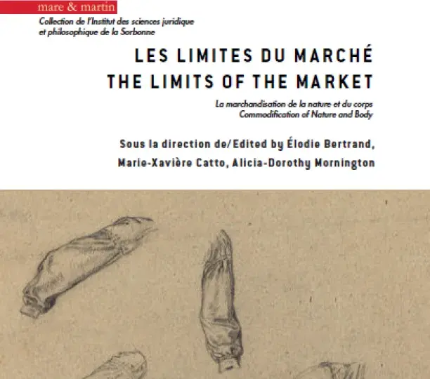 Les Limites du marché