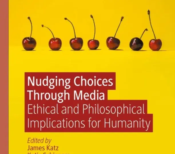 Can Nudges Be Democratic?: Paternalism vs Perfectionism